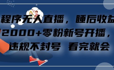 小程序无人直播，零粉新号开播，不违规不封号 看完就会+睡后收益单日2000