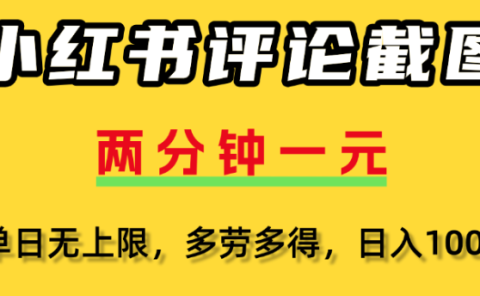 小红书评论区评论截图，一分钟2条，日入几千，多劳多得