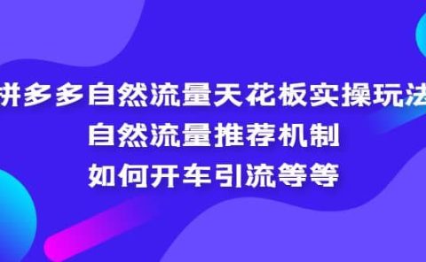 拼多多自然流量天花板实操玩法：自然流量推荐机制，如何开车引流等等