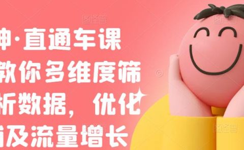 盗坤·直通车课程,教你多维度筛选分析数据,优化店铺及流量增长