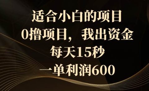 适合小白的项目，0撸项目，我出资金，每天15秒，一单利润600