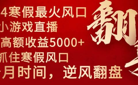2024年最火寒假风口项目 小游戏直播 单场收益5000+抓住风口 一个月直接提车