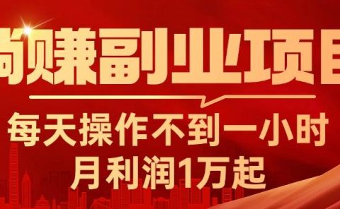 躺赚副业项目,每天操作不到一小时,月利润1万起,实战篇