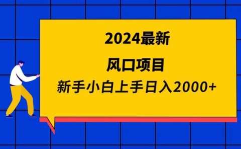 2024最新风口项目 新手小白日入2000+