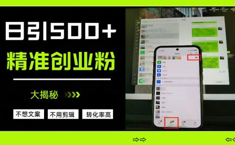日引500+精准创业粉，方法大揭秘