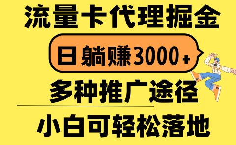 流量卡代理掘金，日躺赚3000+，首码平台变现更暴力，多种推广途径，新...