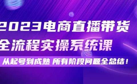 2023电商直播带货全流程实操系统课：从起号到成熟所有阶段问题全总结