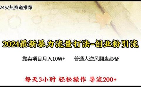 2024年最新暴力流量打法，每日导入300+，靠卖项目月入10W+