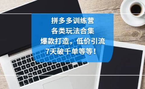拼多多训练营:各玩法合集,爆款打造,低价引流,7天破千单等等