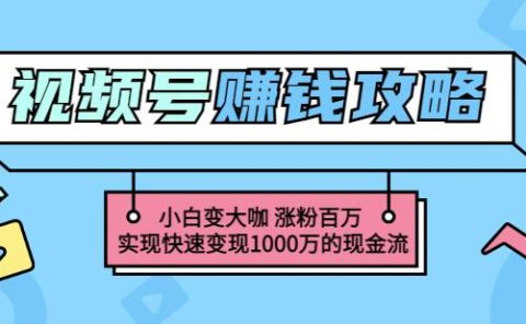 玩转微信视频号赚钱:小白变大咖涨粉百万实现快速变现1000万的现金流