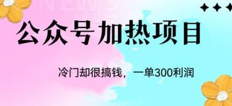 冷门公众号加热项目，一单利润300+