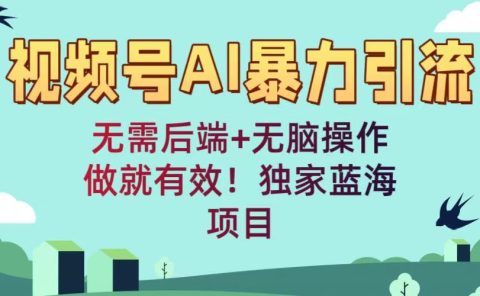 视频号AI暴力引流:无需后端+无脑操作,做就有效!独家蓝海项目