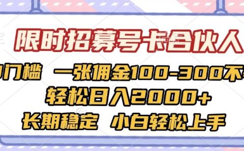 限时招募号卡合伙人 0门槛 一张佣金100-300不等 轻松日入2000+ 长期稳定 小白轻松上手