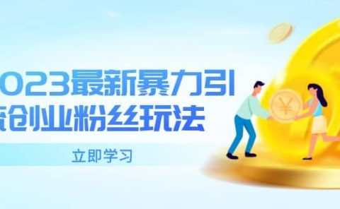 2023最新暴力引流创业粉丝玩法，单日被动引流50+创业粉