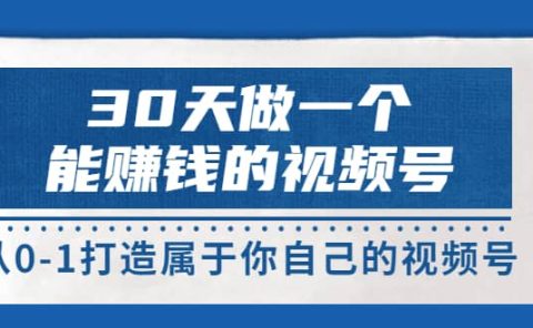 30天做一个能赚钱的视频号，从0-1打造属于你自己的视频号 (14节-价值199)
