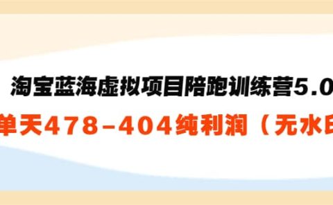 淘宝蓝海虚拟项目陪跑训练营5.0：单天478纯利润（无水印）