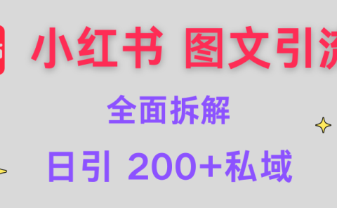 【小红书图文引流】全面解析，日引200+私域