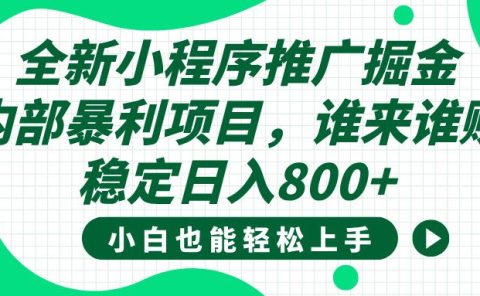 全新小程序推广掘金，内部暴利项目，小白轻松上手，稳定日入800+
