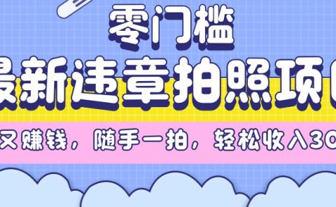 最新违章拍照项目，解气又赚钱，随手一拍，轻松收入3000+