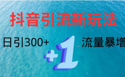 创业粉高效引流,抖音工具号玩法4.0,日引300+