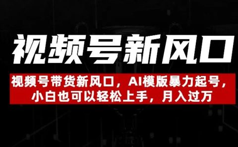 视频号带货新风口,AI模版暴力起号,小白也可以轻松上手,月入过万