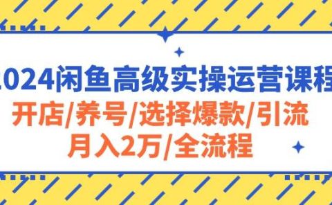 2024闲鱼高级实操运营课程：开店/养号/选择爆款/引流/月入2万/全流程