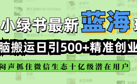 小绿书最新蓝海玩法，无脑搬运日引500+精准创业粉，闷声抓住微信生态十亿级潜在用户