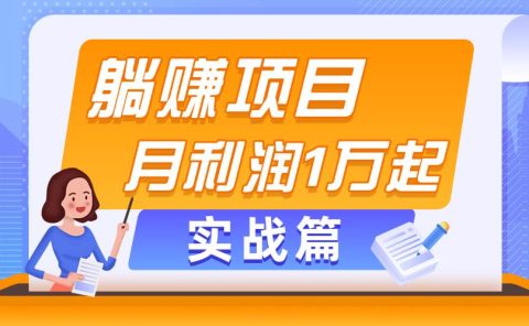 躺赚副业项目，月利润1万起，当天见收益，实战篇