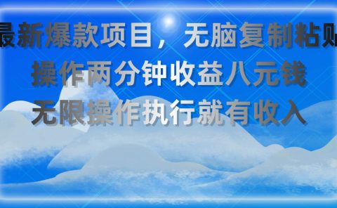 最新爆款项目，无脑复制粘贴，操作两分钟收益八元钱，无限操作执行就有...
