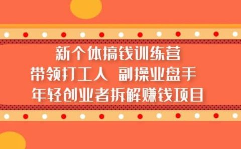 新个体搞钱训练营：带领打工人 副操业盘手 年轻创业者拆解赚钱项目