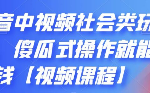 抖音中视频社会类玩法，傻瓜式操作就能赚钱【视频课程】