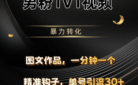 男粉1V1视频，硬改摄像头，高客单暴力转化，单日600+