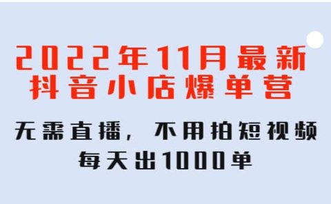 2022年11月最新抖音小店爆单训练营：无需直播，不用拍短视频，每天出1000单