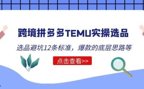 跨境拼多多TEMU实操选品运营方法，选品避坑12条标准，爆款的底层思路等
