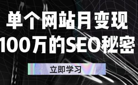 单个网站月变现100万的SEO秘密，百分百做出赚钱站点