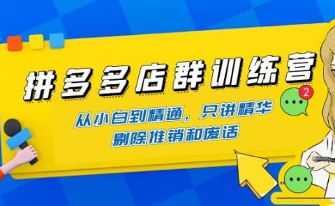 拼多多店群训练营：从小白到精通，只讲精华，剔除推销和废话