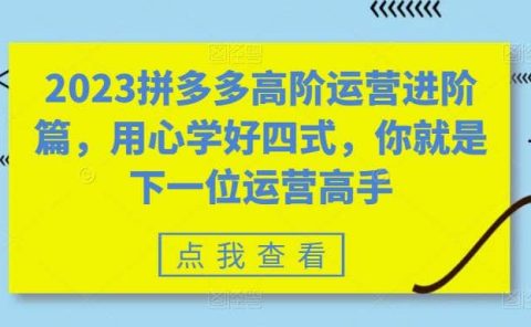 2023拼多多高阶运营进阶篇,用心学好四式,你就是下一位运营高手