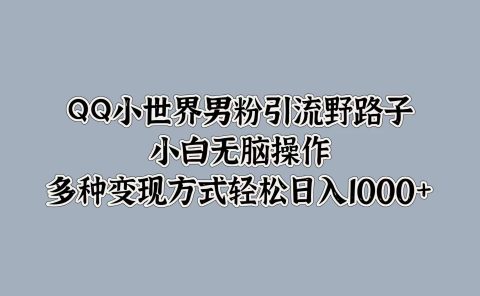 QQ小世界男粉引流野路子，小白无脑操作，多种变现方式轻松日入1000+