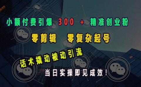 小额付费引爆 300 + 精准创业粉，零剪辑、零复杂起号，话术撬动被动引流，当日实操即见成效！