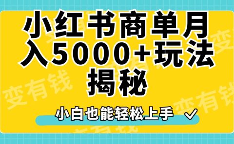 小红书商单原创起号玩法揭秘，小白月入5000+