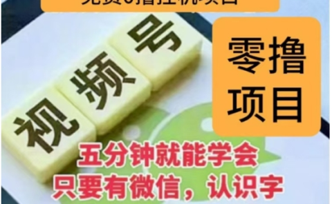 微信视频号挂机零成本撸米项目，单号一天收益多米，帐号越多收益就越高！
