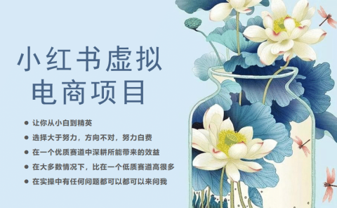 小红书虚拟电商从0到1，让你从小白到精英（20节实操课程）