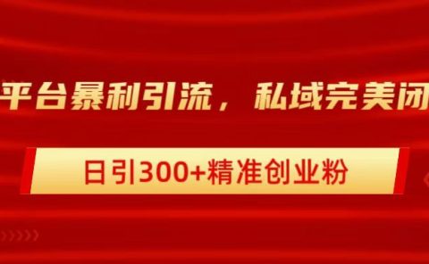 跨平台暴力引流,私域完美闭环,日引300+精准创业粉