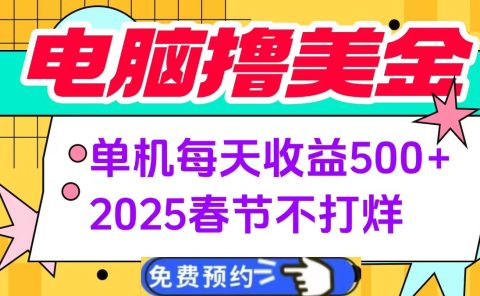 电脑撸美金单机每天收益500+，2025春节不打烊