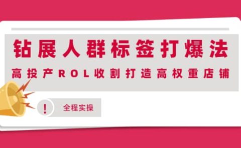钻展人群标签打爆法，高投产ROL收割打造高权重店铺(全程实操)