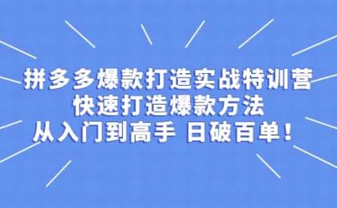拼多多爆款打造实战特训营:快速打造爆款方法,从入门到高手 日破百单