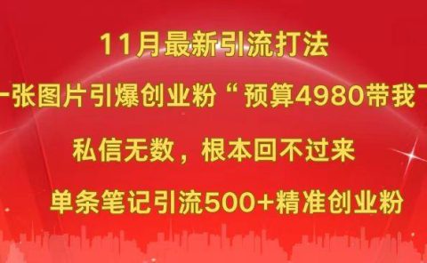 小红书11月最新图片打法，一张图片引爆创业粉“预算4980带我飞”，私信无数，根本回不过来，单条笔记引流500+精准创业粉