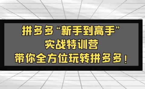 拼多多“新手到高手”实战特训营：带你全方位玩转拼多多