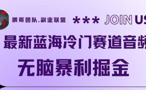 最新蓝海冷门赛道音频,无脑暴利掘金