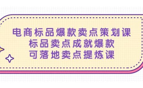 电商标品爆款卖点策划课，标品卖点成就爆款，可落地卖点提炼课